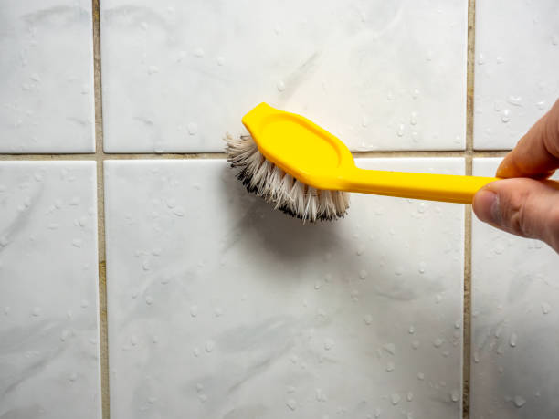 Best Black Mold Removal  in Mead Valley, CA