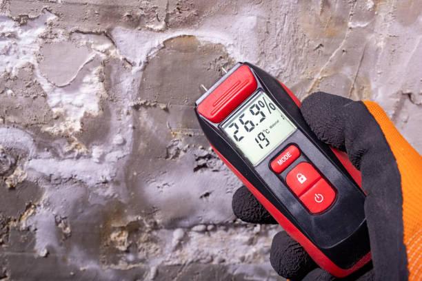 Best Residential Mold Removal  in Mead Valley, CA