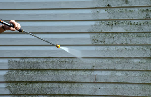 Best Attic Mold Removal  in Mead Valley, CA